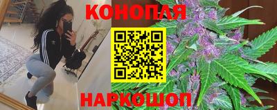 гашик Заводоуковск