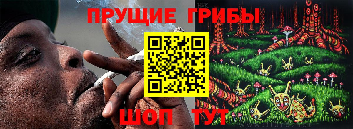 Псилоцибиновые грибы Psilocybe Мариинск